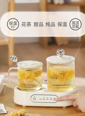 多功能养生壶办公室小型煮茶壶家用玻璃养生杯烧水壶双炉恒温壶