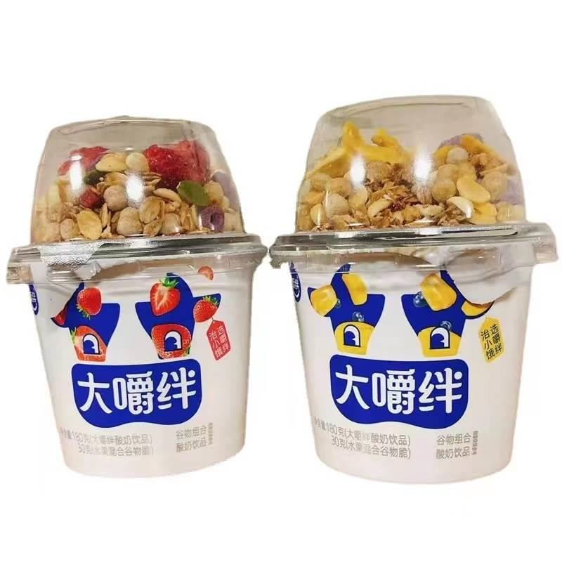大嚼绊酸奶杯水果混合谷物脆草莓菠萝蜜口味代餐搅拌酸奶网红食品