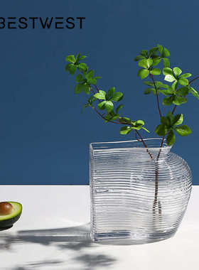 Best west 简约圆球形透明水培玻璃花瓶摆件 家居客厅玄关装饰品