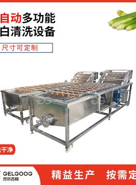 不锈钢清洗笋类蔬菜设备自动洗雪菜梅干菜茭白清洗机叶菜清洗机