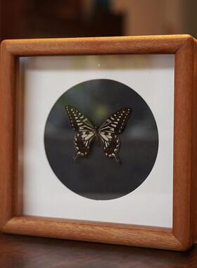 圆角中空5立体框实木diy标本相框画框手工定制蝴蝶植物展示框简约