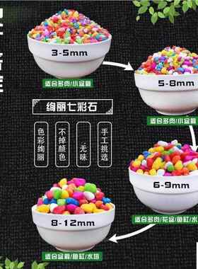 高颜值小石头鱼缸石头花盆彩色石子七彩小石头五彩石造景小石子
