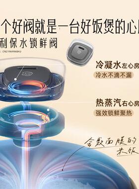 飞利浦家用电饭煲大容量4升多功能一体多用智能功夫饭煲HD5210/80