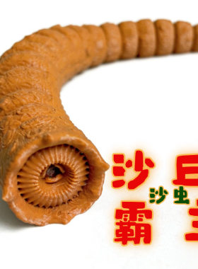 Shai-Hulud工厂直发3D模型摆件