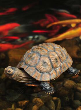 仿真动物乌龟树脂摆件户外花园别墅庭院水池鱼缸装饰布置造景极凯