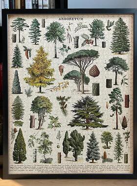Cavallini植物花卉蝴蝶拼图框1000片500片架裱框70*55*35画框相框