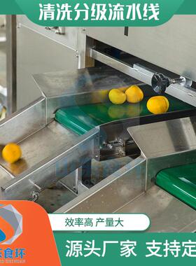 全自动果蔬分级机新疆大枣果蔬分级机果冻橙自动式提升分级机