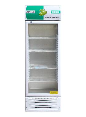 啤酒展示柜冷藏保鲜柜立式商用冰箱双门饮料柜冰柜