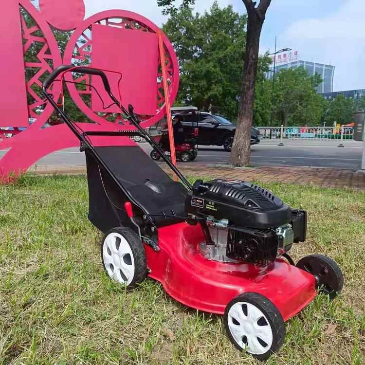 2寸手推割草坪机自走式剪草四1冲程汽油推草机ACQ家用款草机机 - 图0