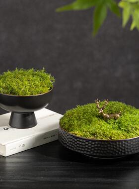 子新中式永生苔藓绿植茶几角几样板房级感设计师售楼处盆景