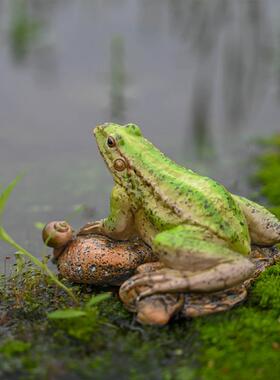 迷你模拟青蛙装饰品花园庭院盆栽假山沙画景观微景观动物树脂装饰