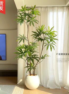 孔雀木彷真绿色植物高端轻奢客厅彷生假植物室内大型落地盆栽装饰
