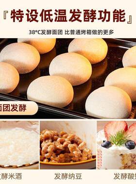 多功60L120L大容量能电烤箱家用小型业商用发私房专MAGA-102烘焙