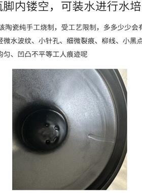 佛手柑托盘水培陶瓷简约养佛手的花瓶器皿摆放盘花器放佛手盆栽