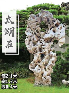 百石汇大型太湖石天然原石白太湖石观赏石摆件带孔窟窿石造型石头