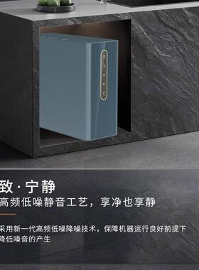 净水器直饮家用800g大流量净水机ro反渗透净饮机厨下式智能饮水机
