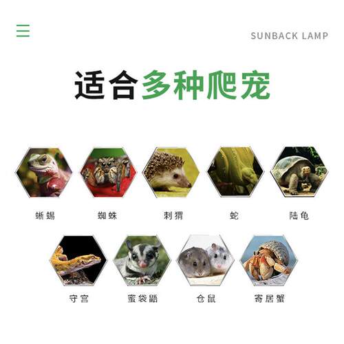 爬宠饲养箱pvc保温箱守宫鬃狮蜥蜴陆龟蛇恒温箱乌龟爬行启梅商行 - 图2