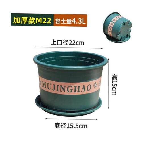 多为大型塑料盆栽树木绿色盆栽 - 图3