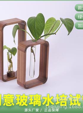 北欧胡桃木时尚客厅透明玻璃绿萝植物水培花器桌面摆台装饰摆件品