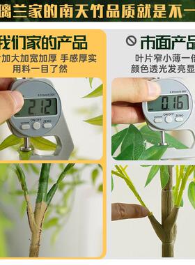 南天竹彷真绿色植物室内客厅沙发角落装饰落地摆件高级感大型彷生