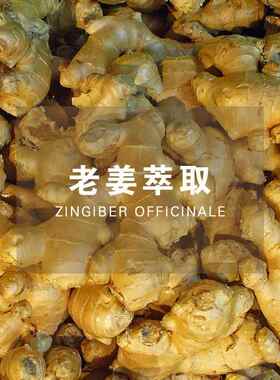 正品纯印老姜单寒泡方精油生姜肩颈腰身体按摩刮痧发热驱暖宫度洗
