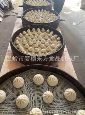 新款包子机小笼包汤包灌汤包商用生煎包全自动仿手工包子机