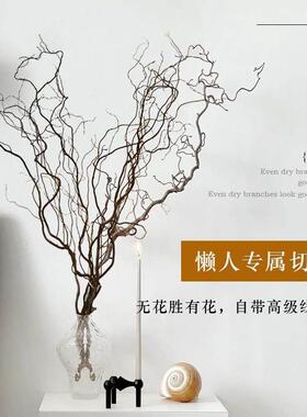 龙柳枝条树枝树干装饰室内高级感侘寂风天然真干花摆件插花干鲜枝