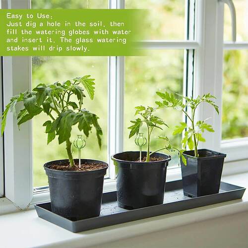 3/6Pcs Plant Self Watering Globes Automatic Plant Water Feed - 图3