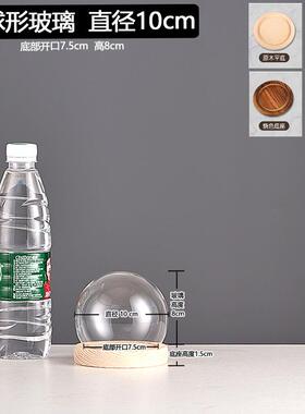 厂家跨境永生干花玻璃装饰摆件