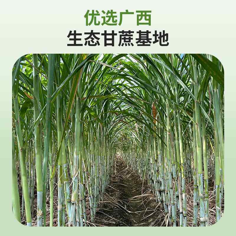 蔗鲜生纯甘蔗汁广西绿皮甘蔗网红饮品鲜榨整箱礼盒装NFC果汁饮料,淘宝优惠券,粉丝福利购,淘宝优惠卷