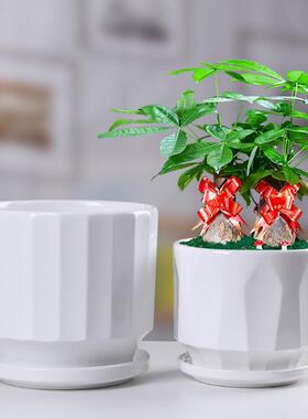 北欧简约特大号陶瓷花盆带托盘绿萝大号绿植白色桌面九里香盆