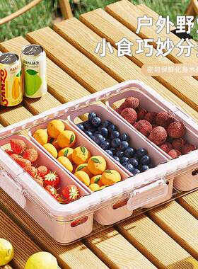 厨房食品级密封盒防潮带盖野餐水果点心分装调料分类收纳盒