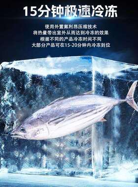 大栗冰板栗子预冷机设备动隧道式5型大全自用商水果蔬菜冷冻机
