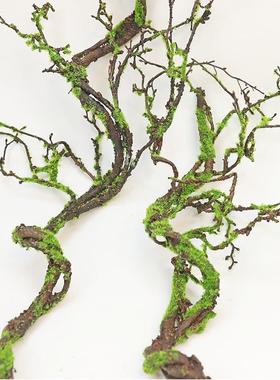 仿真青苔树藤枯藤装饰摆件干枝藤蔓造景假藤条森系庭院绿植苔藓