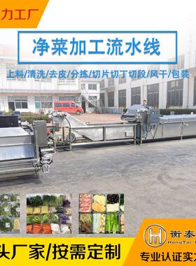 净菜清洗加工生产线蔬菜水果清洗加工流水线土豆丝葱段加工设备