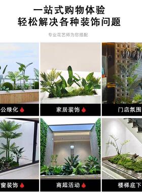 彷真绿色植物造景室内景观组合阳台庭院大型橱窗装饰彷生假植物树