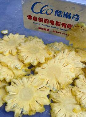 运城削皮苹果切片机红橙菠萝奇异果定向切圆片机搭配削皮去核机