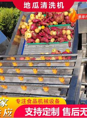 商用果蔬清洗机肉苁蓉毛刷清洗机全自动人参果毛辊清洗机洗果机