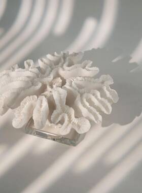 北欧现代轻奢珊瑚摆件桌面摆设客厅家居样板间民宿酒店工艺礼品摆