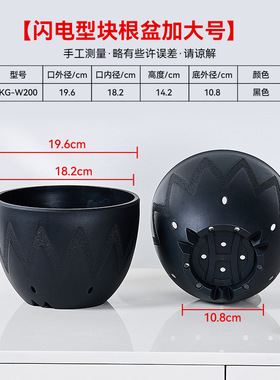 仙人球加厚黑胶块根园艺花卉花瓶