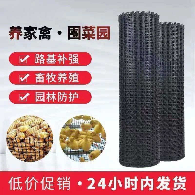 拦鸡网加厚养鸡鸭围栏塑料网养殖网胶圈地菜园防护网玉米网格栅,淘宝优惠券,粉丝福利购,淘宝优惠卷