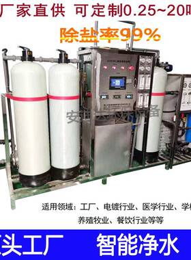 超纯水设备0.5吨二级反渗透EDI净水设备 新能源五金行业纯水机