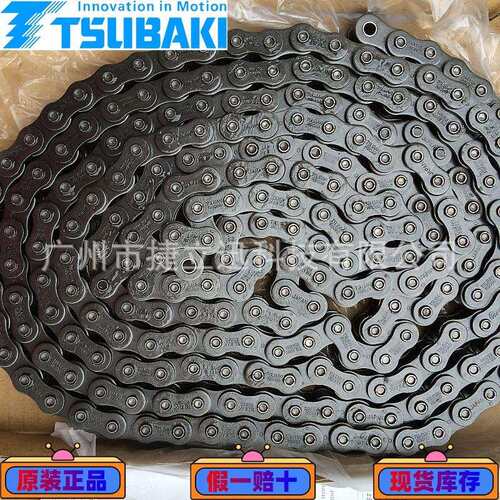 RF0310F-IDT-4LA2TSUBAK大链条天津，工厂产，节距100m0m - 图1