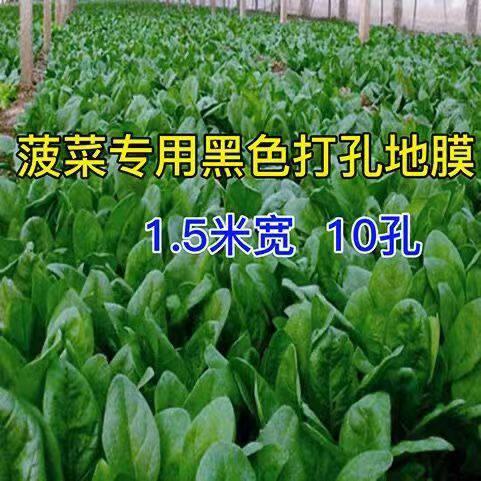 Perforated mulch film, agricultural film, black weed-killing film, silver-black reflective vegetable film, special film for onions, lettuce and onions
