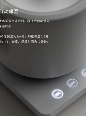 新款直销小提新品Plus电热水壶家用随手泡茶小型多功能控温保温静