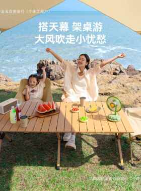 原套始人露ltao8469营桌月亮椅户外折叠蛋椅卷桌子椅子一体野炊营