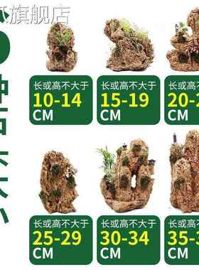 吸水石盆景上水石假山石奇石鱼缸造景家居装饰水秀石头奇石小摆件