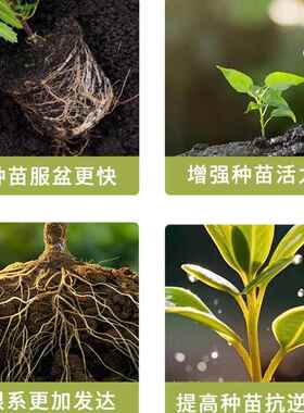 育苗营养土通用型园艺养花种草有机多肉蔬菜瓜果家用盆栽营养泥土