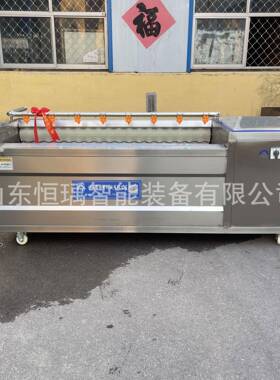 毛辊清洗机叶菜类压喷淋清洗机红枣大枣鼓泡清洗机羊头清洗