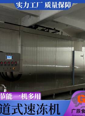 商用隧道式速冻机 青口贝低温速冻设备 小龙虾制冷设备 冰块复冻